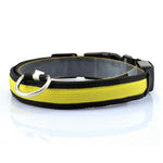 Nylon Night Safety Dog LED Collar - ValasMall