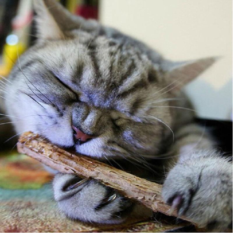 Cat Natural Cleaning Teeth Sticks - ValasMall